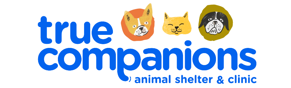 True Companions logo